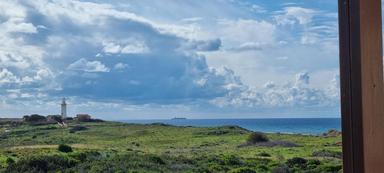 Ancient Paphos - Cozy Place Next To The Sea, Marina, Historical Sites, Buses, Mall, And Market エクステリア 写真